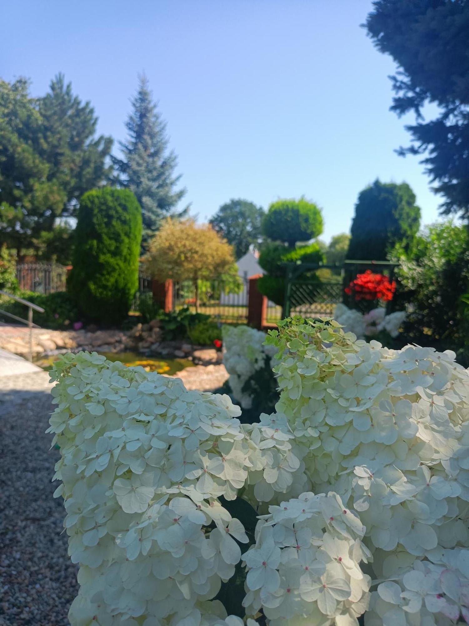 Hortus Apartament Z Klimatyzacja Болеславец Екстериор снимка